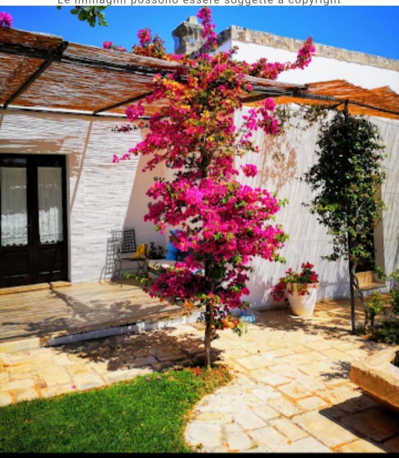 Room In Bb - Stunning Quadruple Room In Ancient Masseria Near The Sea In A Quiet Olive Trees ออสตูนี ภายนอก รูปภาพ